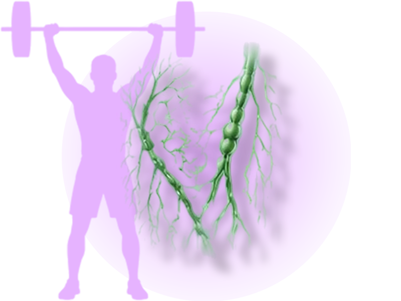 Motion is Holistic